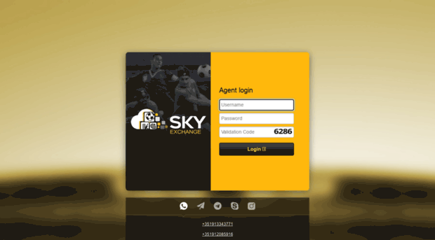 Sky Exchange Login Process
